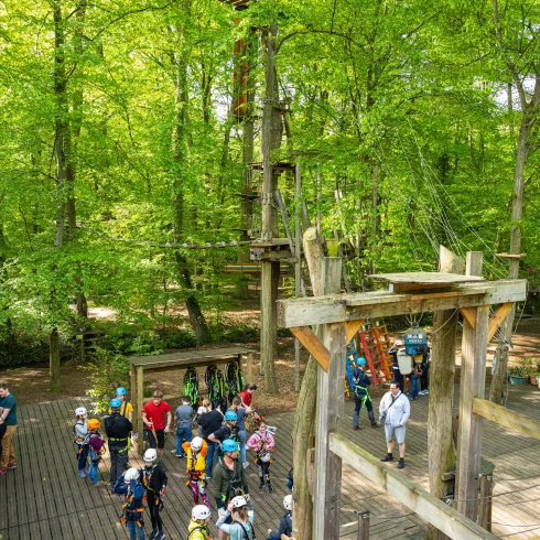 POI_Kandel_Fun_Forest-2 POI_Kandel_Fun_Forest-2