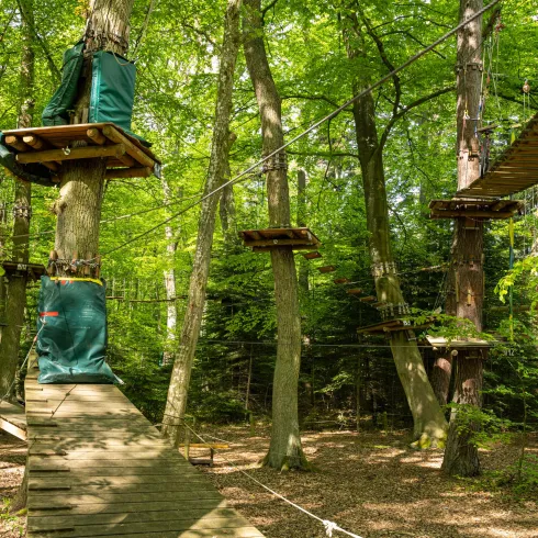 POI_Kandel_Fun_Forest-6