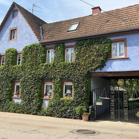 Die Pension Die Pension