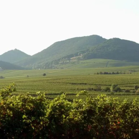 Landschaft Landschaft
