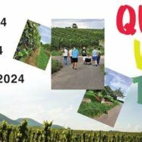 Queer Wine Tour Queer Wine Tour