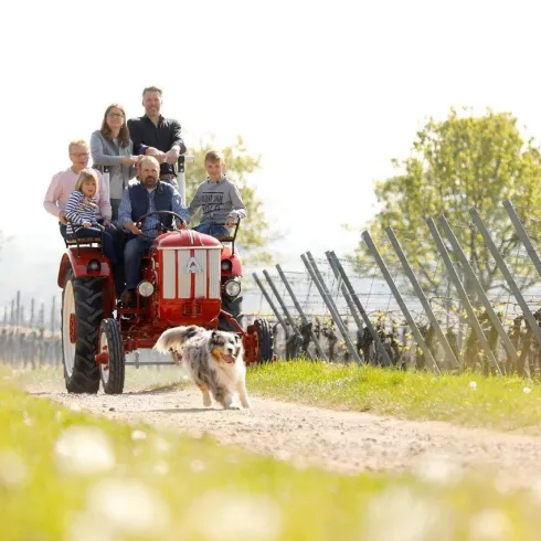Weingut Gries, Traktor (© Melanie Hubert; Weingut Gries)