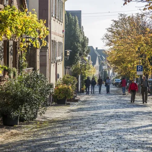 Theresienstrasse (© Verein SÜW Edenkoben, T. Kujat)