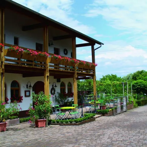 Gästehaus-Weingut-Weinstube Knauf