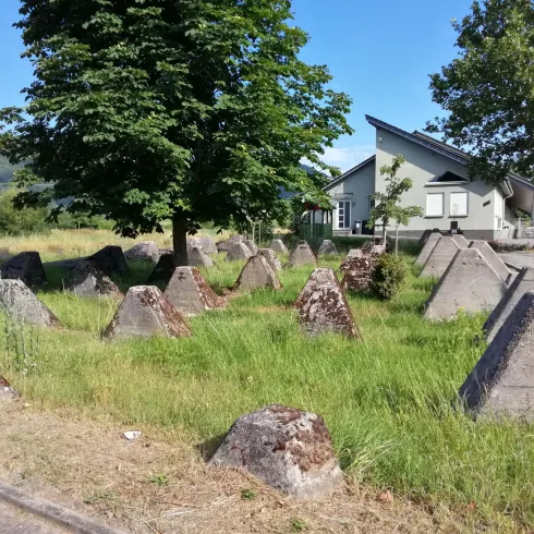 Höckerlinie in Göcklingen