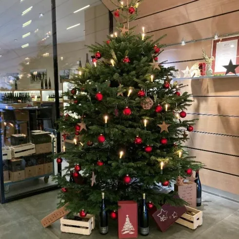 Weihnachtsbaum (© Wein- und Sekthaus Schreieck) Weihnachtsbaum (© Wein- und Sekthaus Schreieck)