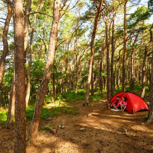 Zeltplatz (© Bildarchiv Südliche Weinstraße e.V.)