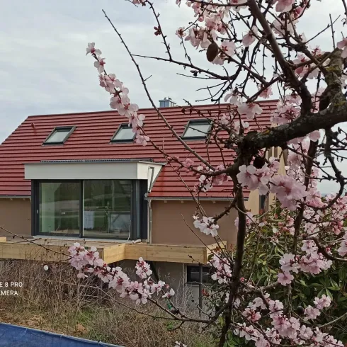 Haus Haus
