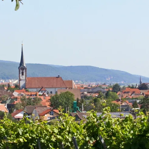 Maikammer (© Büro für Tourismus Maikammer)