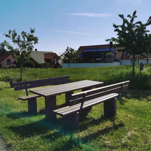Am Mandelhain (© Büro für Tourismus Maikammer)