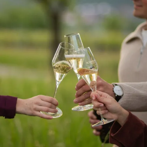 Weingut_Schreieck_1426.jpg