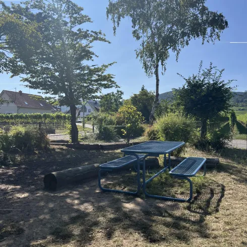 Sitzgelegenheit (© Touristinformation Maikammer)