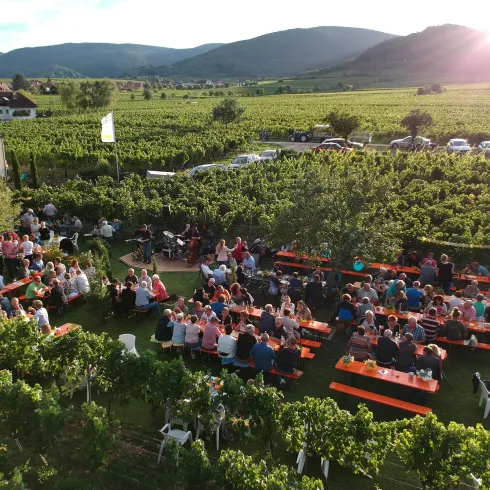 Straußwirtschaft (© Winzerhof Ernst GbR) Straußwirtschaft (© Winzerhof Ernst GbR)