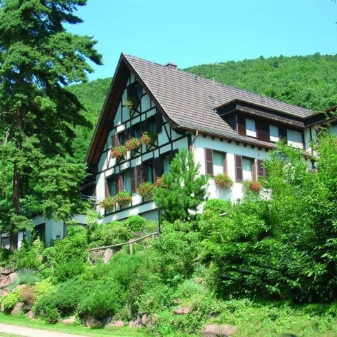 Waldhaus Wilhelm (© Waldhaus Wilhelm) Waldhaus Wilhelm (© Waldhaus Wilhelm)