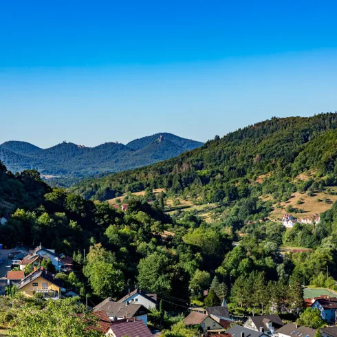 Feldkreuz Ramberg (© Wohlrabe Quadronet, Verein SÜW Annweiler e.V.)
