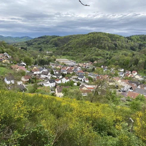 Ramberg (© Verein SÜW Annweiler e.V.)