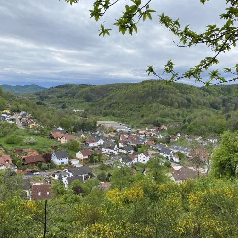 Ortsansicht (© Verein SÜW Annweiler e.V)