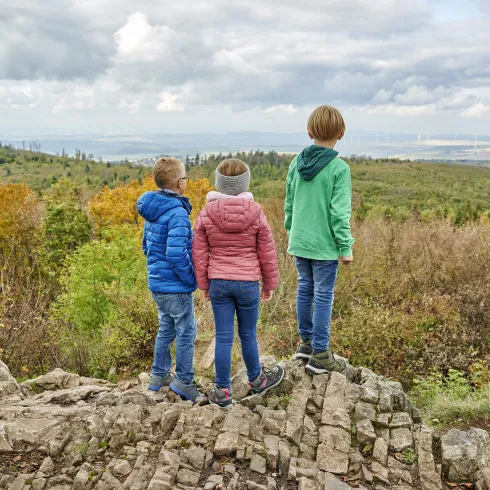 Königsstuhl-Aussicht (© Donnersberg-Touristik-Verband e.V.,Florian Trykowi)