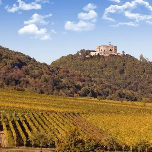 Blick auf das Hambacher Schloss (© Fotolia)