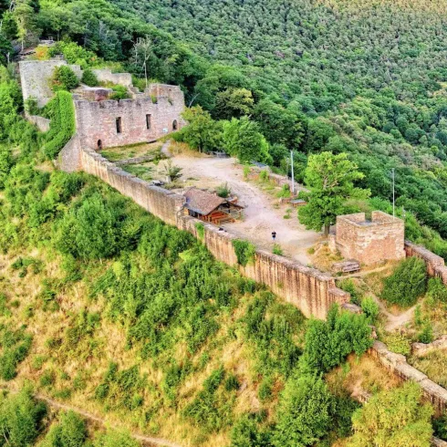 Burgruine Wolfsburg (© Wolfsburgverein Neustadt e.V.) Burgruine Wolfsburg (© Wolfsburgverein Neustadt e.V.)