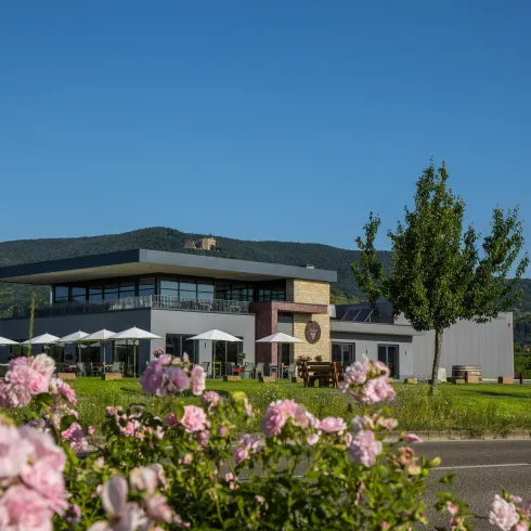 Weingut Isler