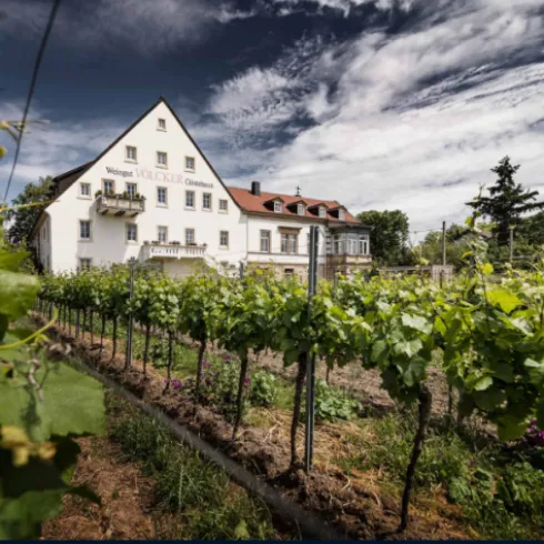 Weingut und Gästehaus Weingut und Gästehaus