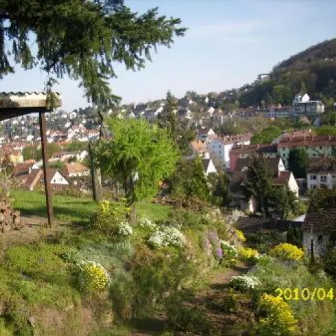 Garten Garten