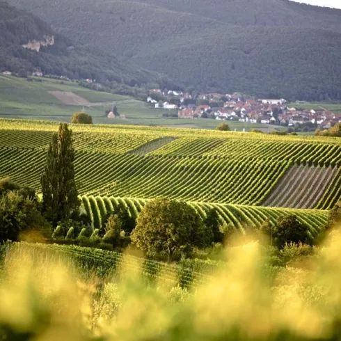 Reiseleitung SÜW (© kgp.de)