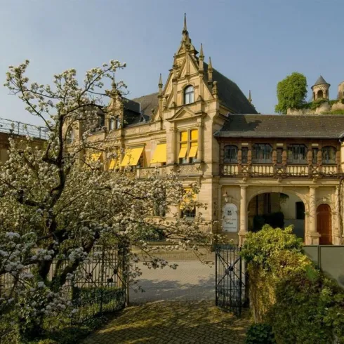 Weingut Müller-Catoir  (© WG Müller-Catoir) Weingut Müller-Catoir  (© WG Müller-Catoir)