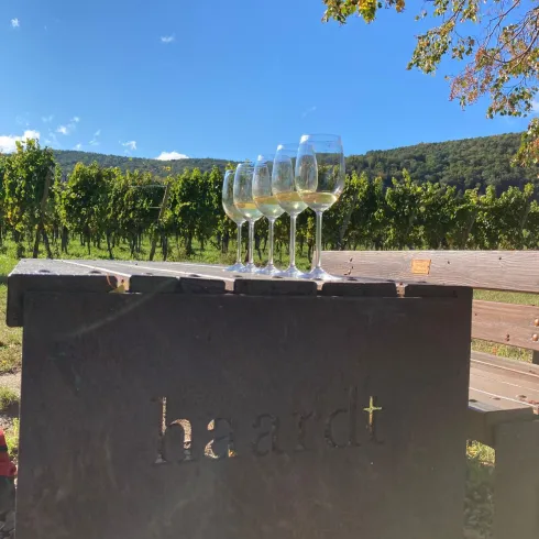 Weinlagen Erlebnis-Tour über die Haardt_1 Weinlagen Erlebnis-Tour über die Haardt_1