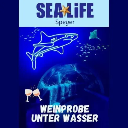 Weinprobe unter Wasser © Weingut Schäfer (© Weingut Schäfer) Weinprobe unter Wasser © Weingut Schäfer (© Weingut Schäfer)