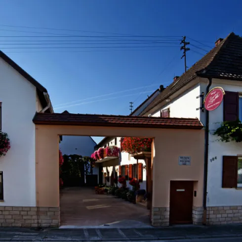 Syring-Lingenfelder Syring-Lingenfelder