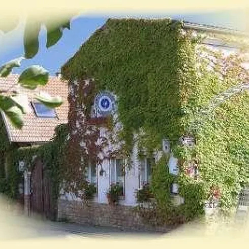Weingut F.G. Kost Weingut F.G. Kost