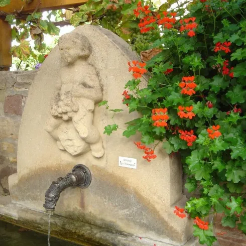 Liebesbrunnen Liebesbrunnen