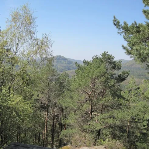 Schöne Aussicht Gossersweiler-Stein (© Archiv Verein SÜW Annweiler e.V.)
