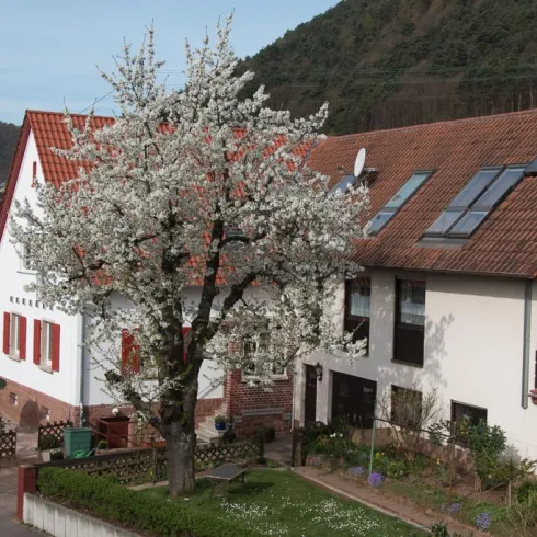 Hausansicht (© Sauer)