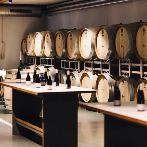Weingut Braun 1