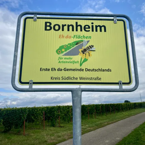 Eh da-Flächen Bornheim