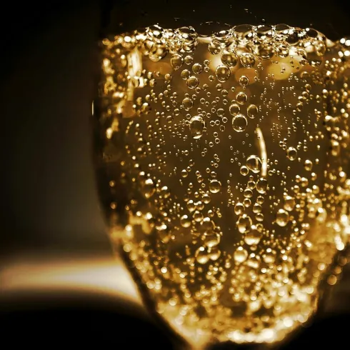 Bubbly Firework Bubbly Firework