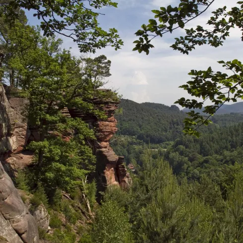 Deichenwand