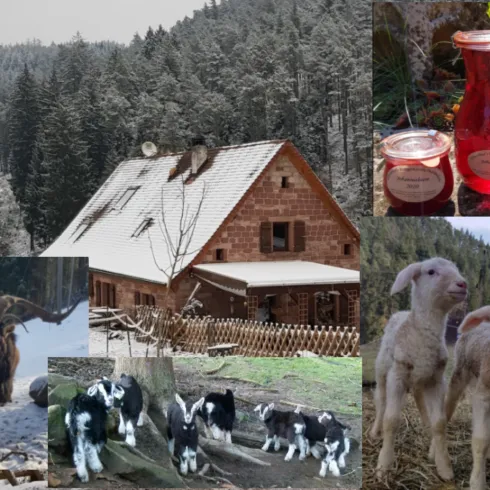 Häuselhof Häuselhof