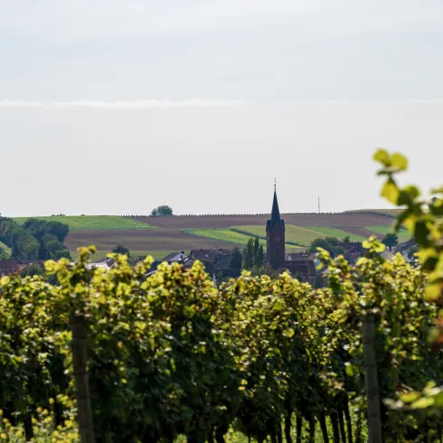 Kapellen-Drusweiler (© Tourismusverein BZA) Kapellen-Drusweiler (© Tourismusverein BZA)