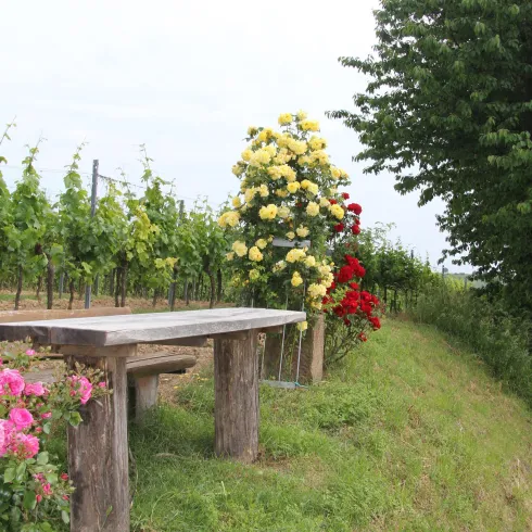 An der Kreuzung (© Britta Dieterle)