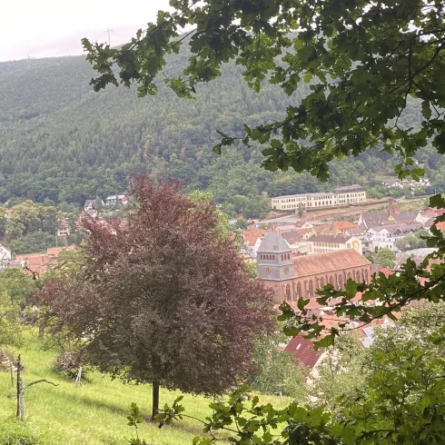 Friedensweg-Streuobstwiesen-Klosterkirche