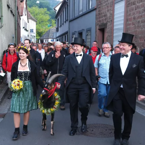 Geißbockmarsch nach Deidesheim