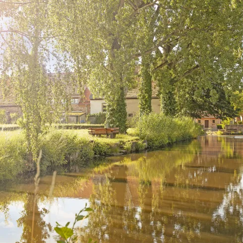 Weiher (© TI Wachenheim)