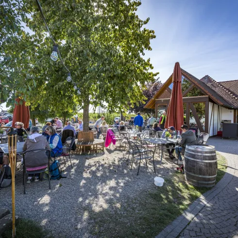 Weinpavillon (© Verein SÜW Edenkoben, T.Kujat)