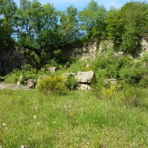 Steinbruch Sulzbachtal (© FVZV Pfälzer Bergland)