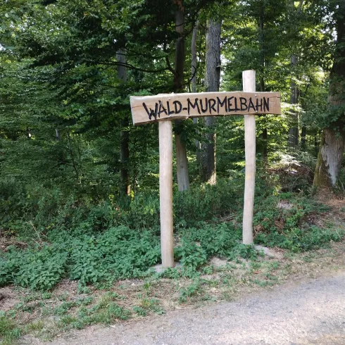 Start der Waldmurmelbahn (© Donnersberg-Touristik-Verband e.V.)