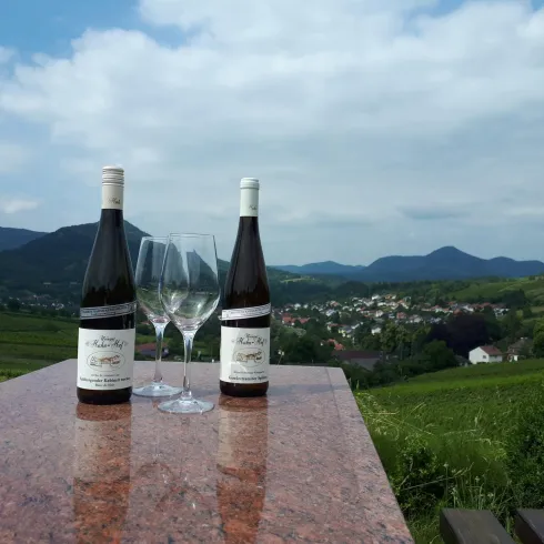 Weinreben Hahn-Hof Blick Trifels (© Verein SÜW Annweiler e.V.)